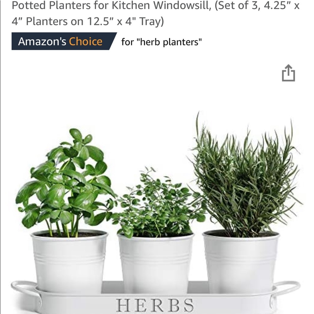 (NEW) Herb Planters and Tray